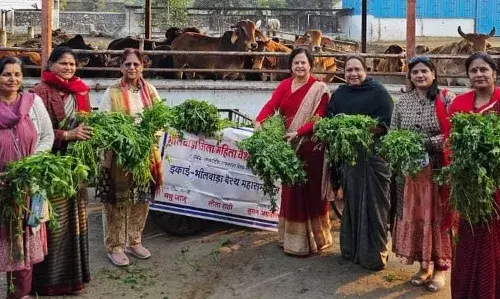 मकर संक्रांति पर वैश्य फेडरेशन महिला संगठन ने की गौ-सेवा, रामधाम गौशाला में खिलाया चारा