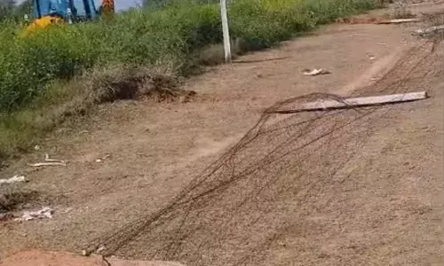 ग्राम बावड़ी में 100 बीघा चारागाह भूमि अतिक्रमण मुक्त