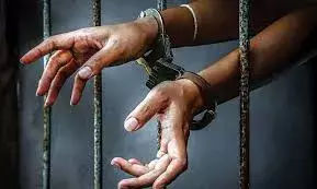 चित्तौडगढ शहर की घनी आबादी में छत पर अफीम खेती पकड़ी, एक गिरफ्तार