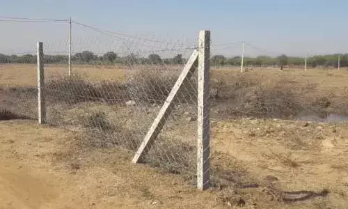 आसींद में खातेदारी कृषि भूमि पर विवाद, तहसीलदार को प्रार्थना पत्र