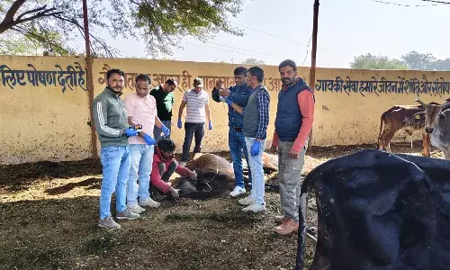 गौशाला में एक दिवसीय पशु चिकित्सा शिविर का आयोजन गौशाला में एक दिवसीय पशु चिकित्सा शिविर का आयोजन
