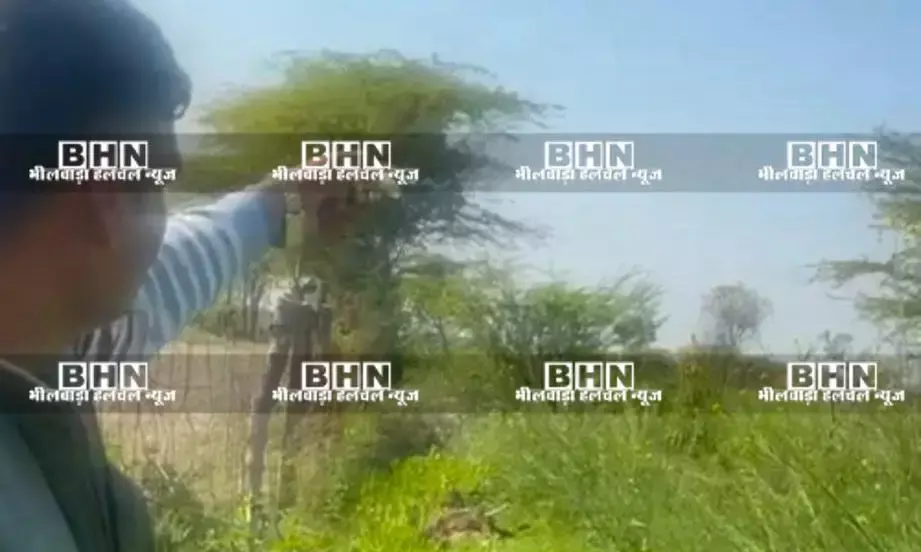 सरसों–चने की आड़ में अफीम की खेती का भंडाफोड़,2300 अवैध अफीम के पौधे जब्त, एनडीपीएस एक्ट में मामला दर्ज