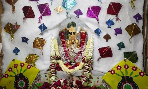 सांवरिया सेठ के दरबार में उमड़ा आस्था का सैलाब: स्वर्ण मुकुट और चांदी की पोशाक में निखरा ठाकुर जी का वैभव