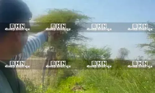 सरसों–चने की आड़ में अफीम की खेती का भंडाफोड़,2300 अवैध अफीम के पौधे जब्त, एनडीपीएस एक्ट में मामला दर्ज