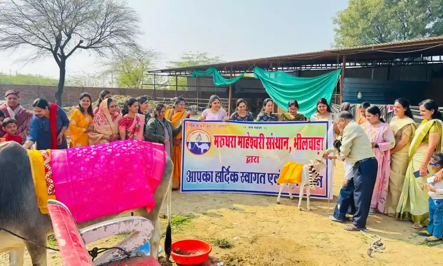 मरुधरा माहेश्वरी संस्थान ने मकर संक्रांति पर्व पर गौसेवा कर मनाया उत्सव