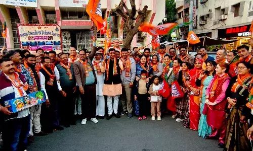 नितिन नवीन का निर्वाचन भाजपा के आंतरिक लोकतंत्र की विजय - मेवाड़ा