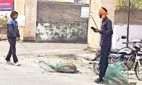 भीलवाड़ा में आवारा श्वानों के खिलाफ नगर निगम ने विशेष अभियान चलाया