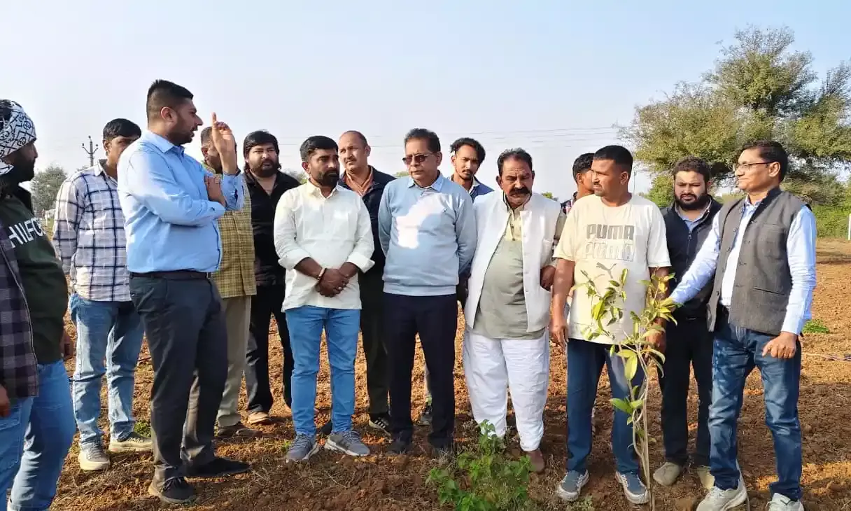 खजीना चारागाह में फल वाटिका का जिला कलेक्टर ने लिया जायजा