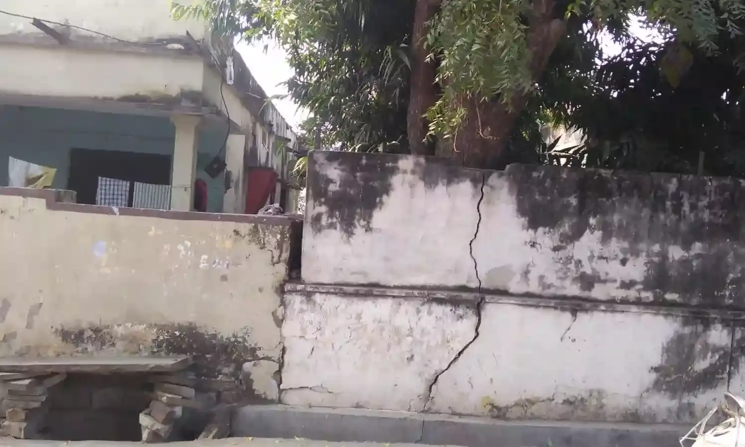 चित्तौड़गढ़ में नीम का पेड़ गिरने से दहशत, पोस्ट ऑफिस कॉलोनी के जर्जर हालात पर उठे सवाल