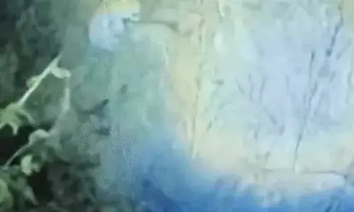 आबादी के पास पहुंचे लेपर्ड, रात में भी दिखे, ग्रामीण सतर्क, वन विभाग से गश्त की मांग