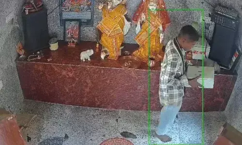 राधा कृष्ण मंदिर में दिनदहाड़े चोरी, दानपात्र उठाकर ले गया चोर, सीसीटीवी में कैद