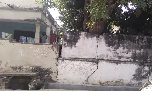 चित्तौड़गढ़ में नीम का पेड़ गिरने से दहशत, पोस्ट ऑफिस कॉलोनी के जर्जर हालात पर उठे सवाल