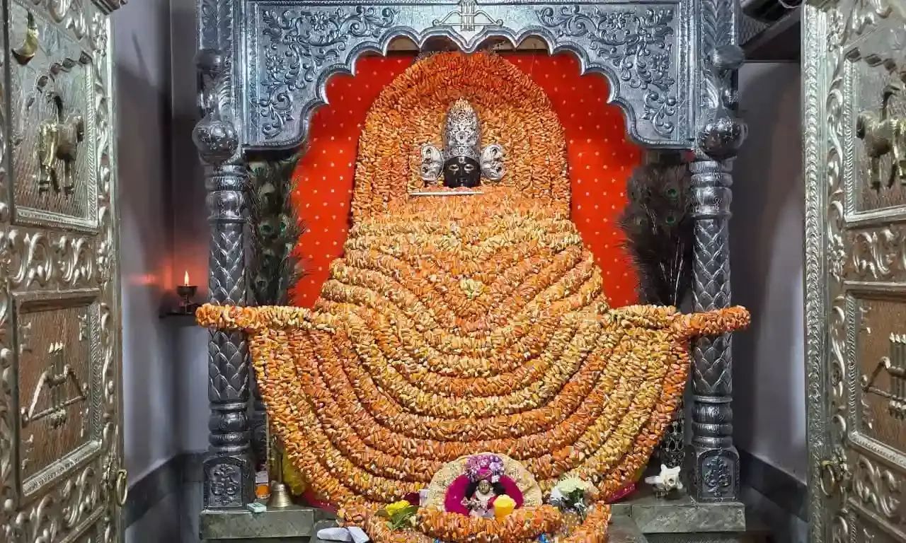 बसंत पंचमी पर विशेष महत्व रखता है खाटू श्याम का पीतांबरी बागा बसंत पंचमी पर विशेष महत्व रखता है खाटू श्याम का पीतांबरी बागा