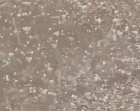 अचानक बदले मौसम ने मचाई हलचल, जहाजपुर कोटड़ी जामोली और धुलखेड़ा में ओलावृष्टि से किसान परेशान