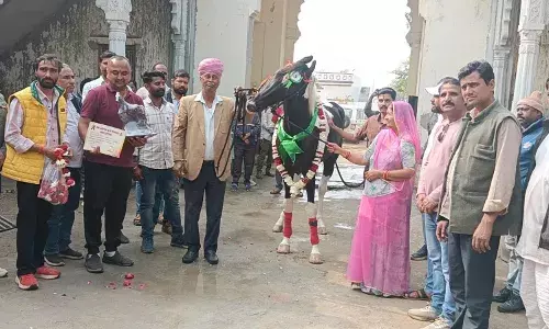 अश्व मेघनाथ ने मेवाड़ का नाम किया रोशन, राष्ट्रीय स्तर पर प्राप्त किया तीसरा स्थान