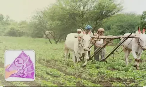 ऋणियों को बड़ी राहत: मुख्यमंत्री ब्याज राहत योजना की अवधि बढ़ी, अब 31 मार्च तक उठा सकेंगे लाभ