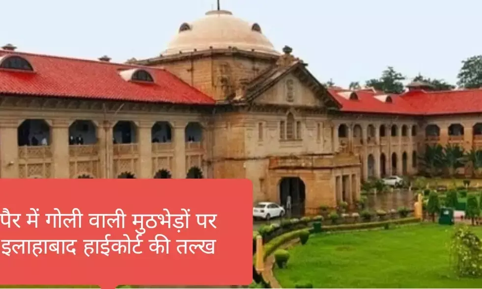 पुलिस को गोली मारने का अधिकार नहीं, सजा सिर्फ कोर्ट देगा - इलाहाबाद हाईकोर्ट की तल्ख टिप्पणी पुलिस को गोली मारने का अधिकार नहीं, सजा सिर्फ कोर्ट देगा - इलाहाबाद हाईकोर्ट की तल्ख टिप्पणी