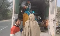 गाय से टकराई बाइक, तीन घायल गाय से टकराई बाइक, तीन घायल