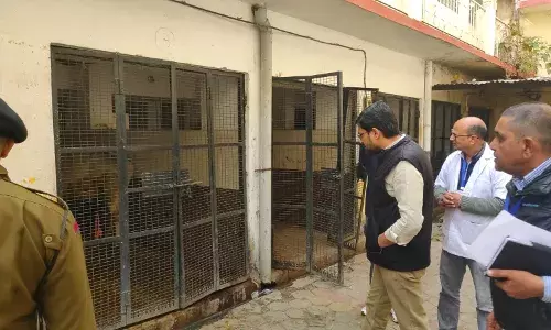 जिला कलक्टर ने लिया बहुउद्देश्यीय पशु चिकित्सालय जायजा .पशु स्वास्थ्य सेवाओं की ली टोह, दिए निर्देश जिला कलक्टर ने लिया बहुउद्देश्यीय पशु चिकित्सालय जायजा .पशु स्वास्थ्य सेवाओं की ली टोह, दिए निर्देश