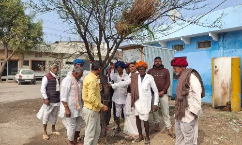 सांगानेर में होली की स्थापना: परंपराओं के साथ शुरू हुआ त्योहारों का आगाज, एक माह बाद होगा दहन