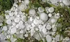 चित्तौड़गढ़: ओलावृष्टि से फसलों को भारी नुकसान, कृषि विभाग ने किसानों से फसल बीमा के लिए आवेदन करने का किया आग्रह