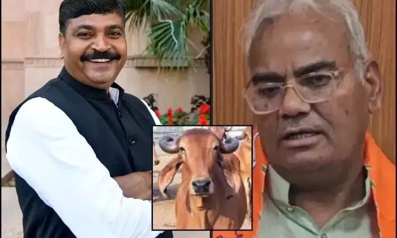 गाय चराने वालों को दस हजार महीना देंगे, मंत्री ने किया दावा…