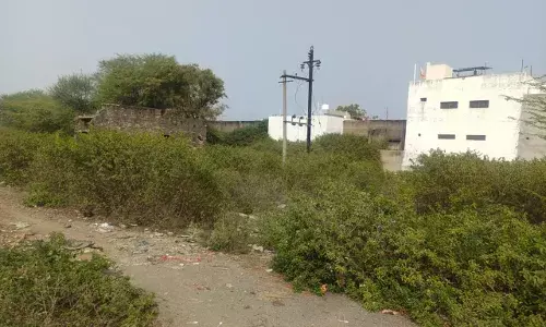 नेहरू विहार से सिद्धिविनायक हॉस्पिटल तक सड़क किनारे झाड़ियों से नागरिक परेशान नेहरू विहार से सिद्धिविनायक हॉस्पिटल तक सड़क किनारे झाड़ियों से नागरिक परेशान