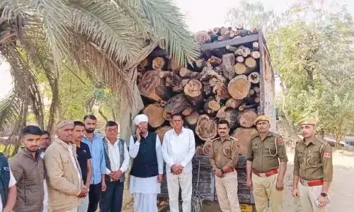 वन विभाग की बड़ी कार्रवाई, अवैध पेड़ों से भरा ट्रक जब्त वन विभाग की बड़ी कार्रवाई, अवैध पेड़ों से भरा ट्रक जब्त