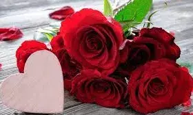 रोज डे पर फूल नहीं, इन प्यारे कोट्स से कहें अपने दिल की बात, प्यार और भी खास बन जाएगा