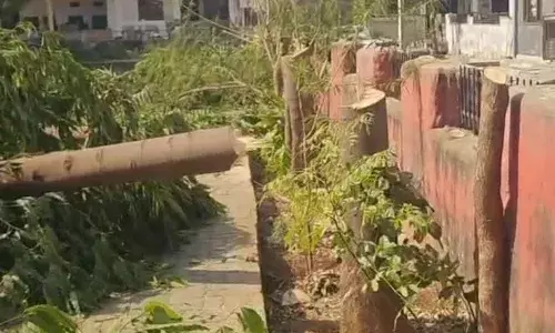 उद्यान में अवैध पेड़ कटाई के मामले में दोषियों पर कड़ी कार्रवाई हो उद्यान में अवैध पेड़ कटाई के मामले में दोषियों पर कड़ी कार्रवाई हो