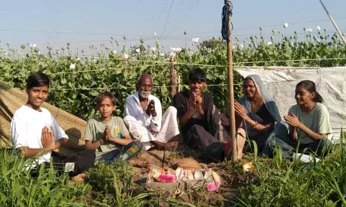 अफीम के खेत की मेड पर माताजी की स्थापना अफीम के खेत की मेड पर माताजी की स्थापना