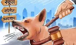 अस्पतालों से कुत्ते भगाने की जिम्मेदारी चिकित्सकों को सौंपी गई: नोडल अधिकारी नियुक्त
