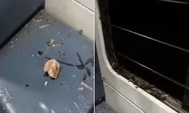 चलती हमसफर एक्सप्रेस पर पथराव, दिव्यांग यात्री के ट्वीट पर रेल मंत्रालय में मचा हड़कंप