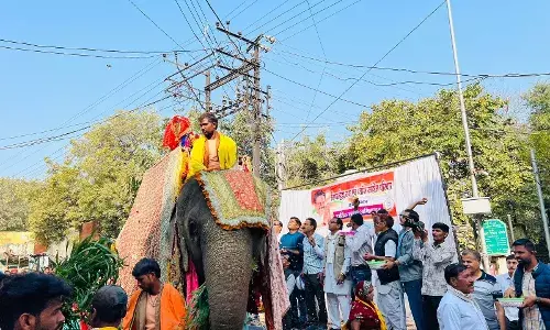 तुलसी विवाह शोभायात्रा का कांग्रेसजनों ने पुष्पवर्षा से किया स्वागत तुलसी विवाह शोभायात्रा का कांग्रेसजनों ने पुष्पवर्षा से किया स्वागत