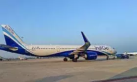 केबिन क्रू आराम नियमों पर एयरलाइनों की आपत्ति, कहा मसौदा वैश्विक मानकों से मेल नहीं खाता