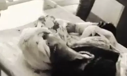 सिलाई दुकान में घुसकर महिला पर चाकू से ताबड़तोड़ वार; खून से लथपथ पीड़िता चीखती रही, मदद की बजाय तमाशबीन बने लोग