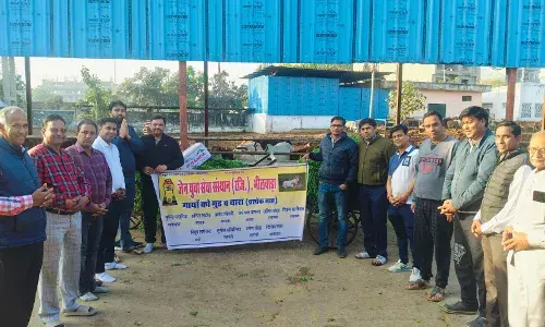 जैन युवा सेवा संस्थान द्वारा किया गया गौ सेवा कार्यक्रम