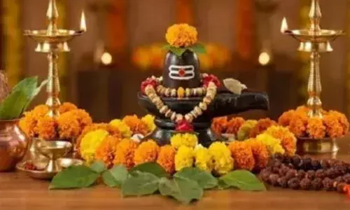 शिव कृपा और समृद्धि का प्रतीक: घर के आंगन में बेलपत्र लगाने से बरसेगी महालक्ष्मी की कृपा शिव कृपा और समृद्धि का प्रतीक: घर के आंगन में बेलपत्र लगाने से बरसेगी महालक्ष्मी की कृपा