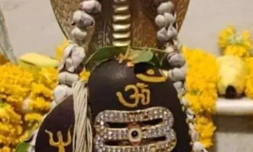 श्री बाबा धाम पर महाशिवरात्री पर उमड़ा जन सैलाब श्री बाबा धाम पर महाशिवरात्री पर उमड़ा जन सैलाब