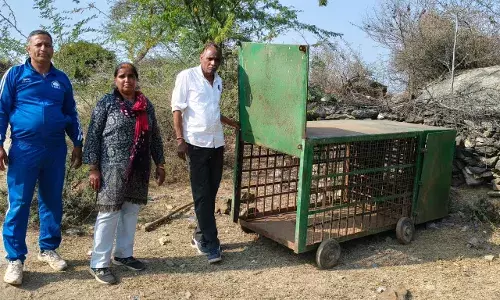 भाणुजा गांव में वन विभाग की त्वरित कार्रवाई, जंगली जानवर पकड़ने के लिए लगाया गया पिंजरा