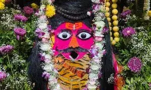 श्री मसानिया भैरवनाथ मंदिर में महाशिवरात्रि पर उमड़ी आस्था: सहस्त्रधारा अभिषेक और भस्म आरती रहे मुख्य आकर्षण