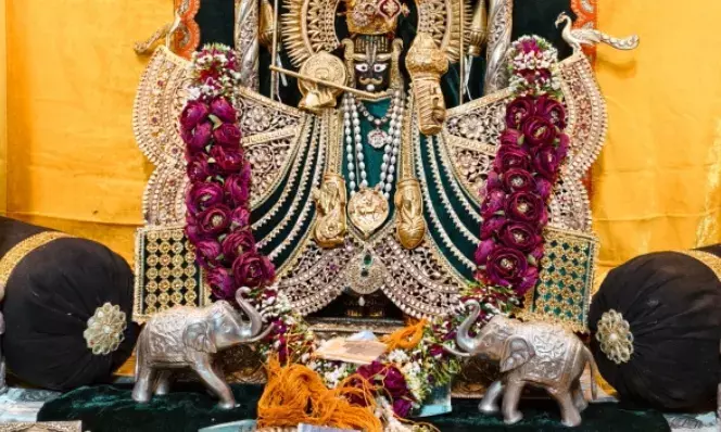 ​श्री चारभुजा नाथ मंदिर में उमड़ा आस्था का सैलाब: अमावस्या पर भेंट पात्र से निकले 48 लाख से अधिक