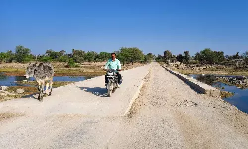 सवाईपुर सालरिया मार्ग कोठारी नदी पुलिया निर्माण आधा अधूरा, एक वर्ष से निर्माण अधरझूल में, आए दिन हो रहे हादसे, ग्रामीणों मैं आक्रोश