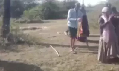 सहाड़ा में पैंथर का तांडव: चार गोवंश को बनाया शिकार, ग्रामीणों में दहशत सहाड़ा में पैंथर का तांडव: चार गोवंश को बनाया शिकार, ग्रामीणों में दहशत