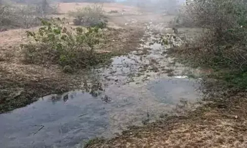 8 माह से बह रहा हजारों लीटर पानी, आमलीगढ़ पाछली के ग्रामीण प्यासे