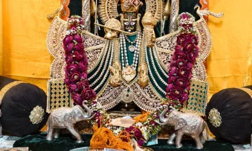 ​श्री चारभुजा नाथ मंदिर में उमड़ा आस्था का सैलाब: अमावस्या पर भेंट पात्र से निकले 48 लाख से अधिक