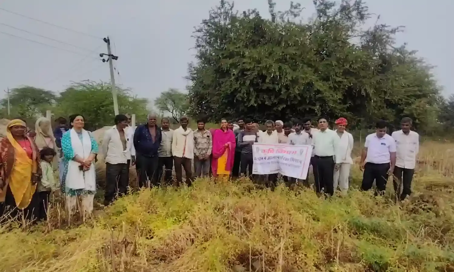 दलहनी फसलो में आत्म निर्भरता बढ़ाना आवश्यक- प्रियंका पारीक