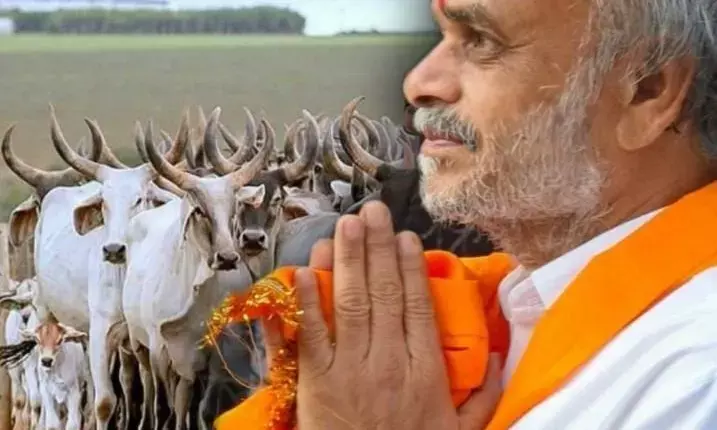 विधायक कोठारी ने चारागाह भूमि संरक्षण को बताया ग्रामीण अर्थव्यवस्था की रीढ़, नई राज्य स्तरीय नीति की मांग