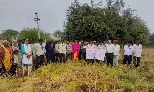 दलहनी फसलो में आत्म निर्भरता बढ़ाना आवश्यक- प्रियंका पारीक दलहनी फसलो में आत्म निर्भरता बढ़ाना आवश्यक- प्रियंका पारीक