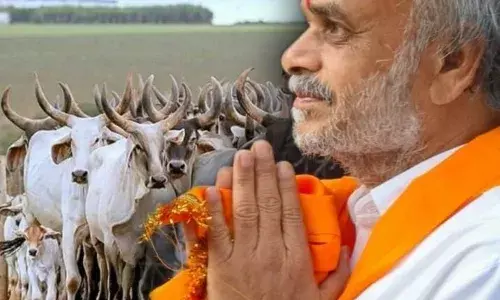 विधायक कोठारी ने चारागाह भूमि संरक्षण को बताया ग्रामीण अर्थव्यवस्था की रीढ़, नई राज्य स्तरीय नीति की मांग विधायक कोठारी ने चारागाह भूमि संरक्षण को बताया ग्रामीण अर्थव्यवस्था की रीढ़, नई राज्य स्तरीय नीति की मांग